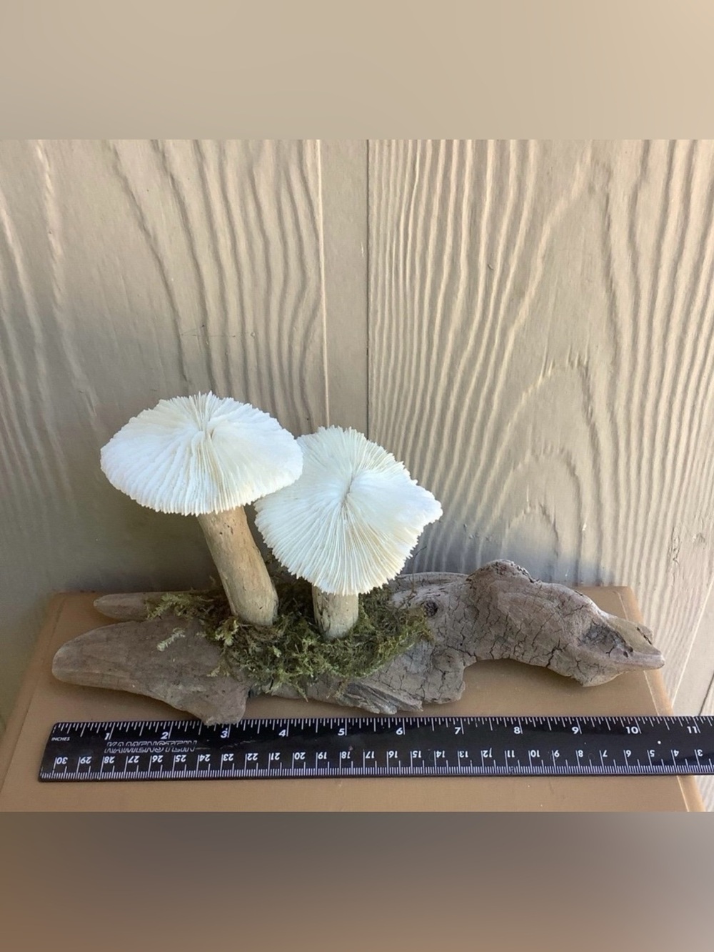 Driftwood Art, Driftwood and Coral Mushrooms, Mushroom Art, Coastal Art - Picture 7 of 8